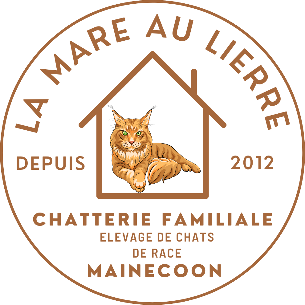 Les chats de la mare au lierre