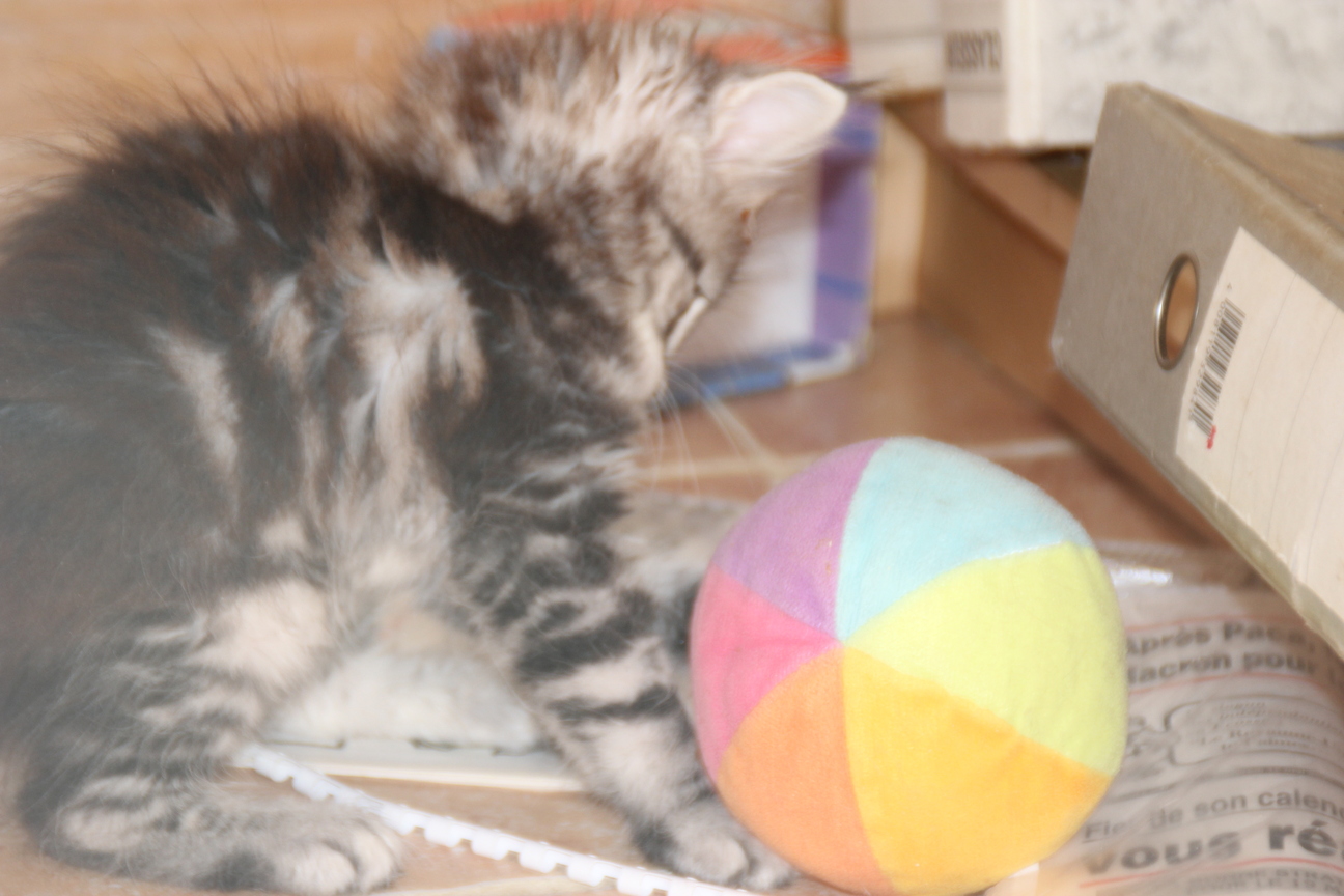 mini_IMG_8789
